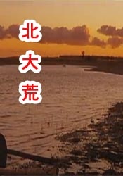吃女王黄金vk